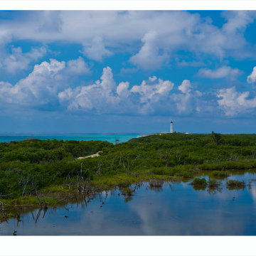 ID-214-Cozumel