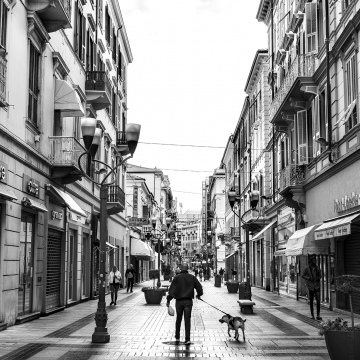 ID -502 French Town